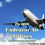 Endeavor Air Airlines Promo Codes, Coupons & Discounts